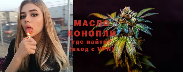 индика Бородино