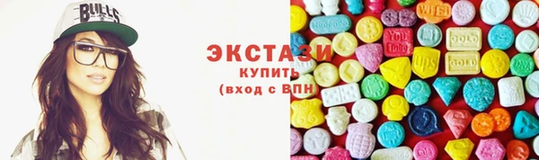 индика Бородино