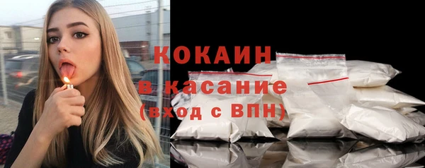 индика Бородино