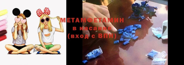 индика Бородино