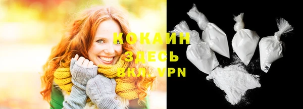 СК Бронницы
