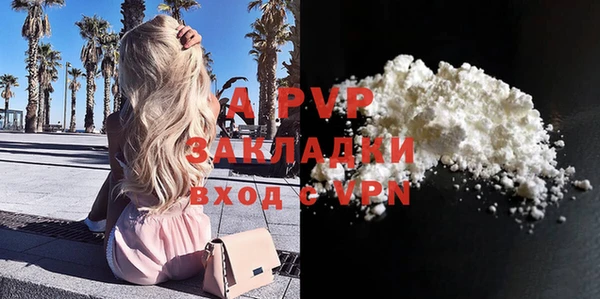 индика Бородино