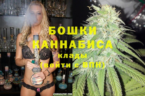 индика Бородино