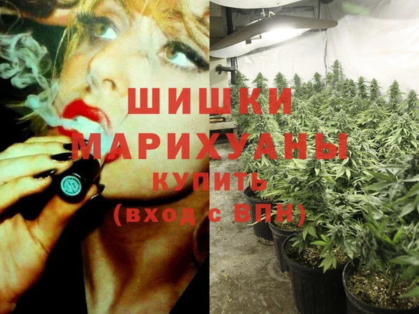 СК Бронницы