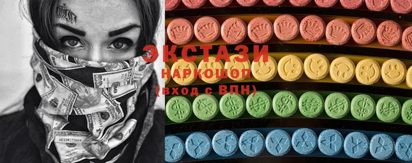 индика Бородино