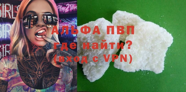 индика Бородино