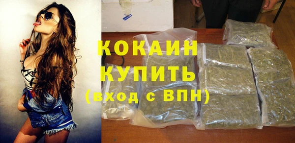 apvp Снежногорск