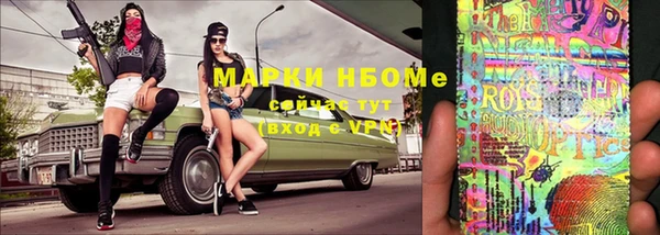 индика Бородино