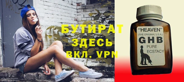 индика Бородино
