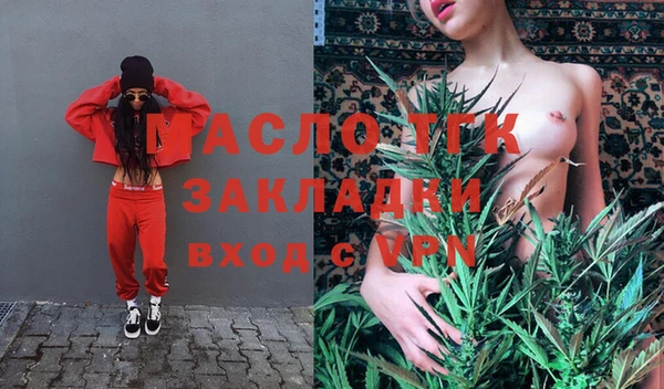 индика Бородино