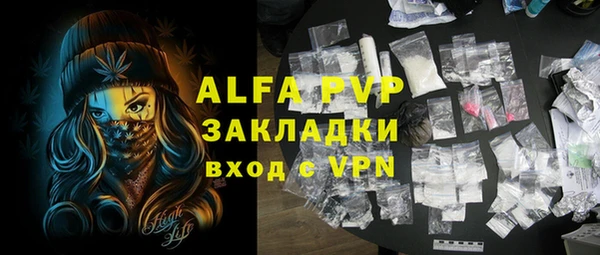 индика Бородино