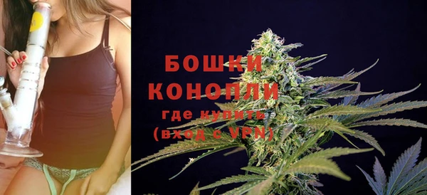 СК Бронницы