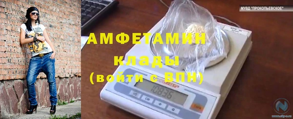 СК Бронницы