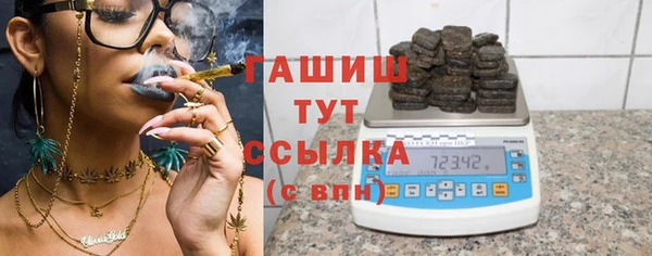 индика Бородино