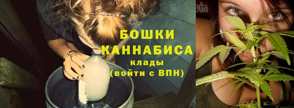 СК Бронницы