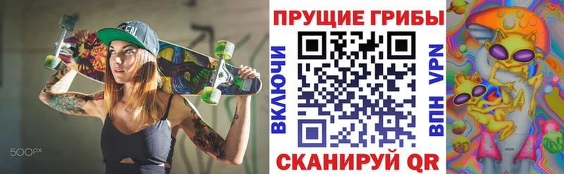 Псилоцибиновые грибы мухоморы  мориарти как зайти  kraken маркетплейс  Новосокольники  хочу наркоту 
