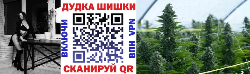 где можно купить наркотик  Новосокольники  Шишки марихуана индика 